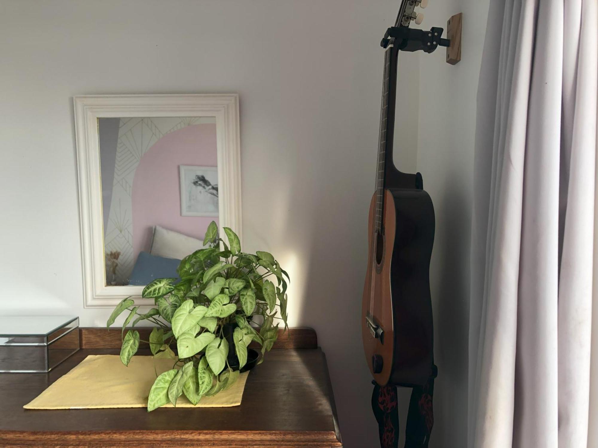 Seafront Haven In Island Bay With Deck, Outdoor Bath, And Parking Apartman Wellington Kültér fotó