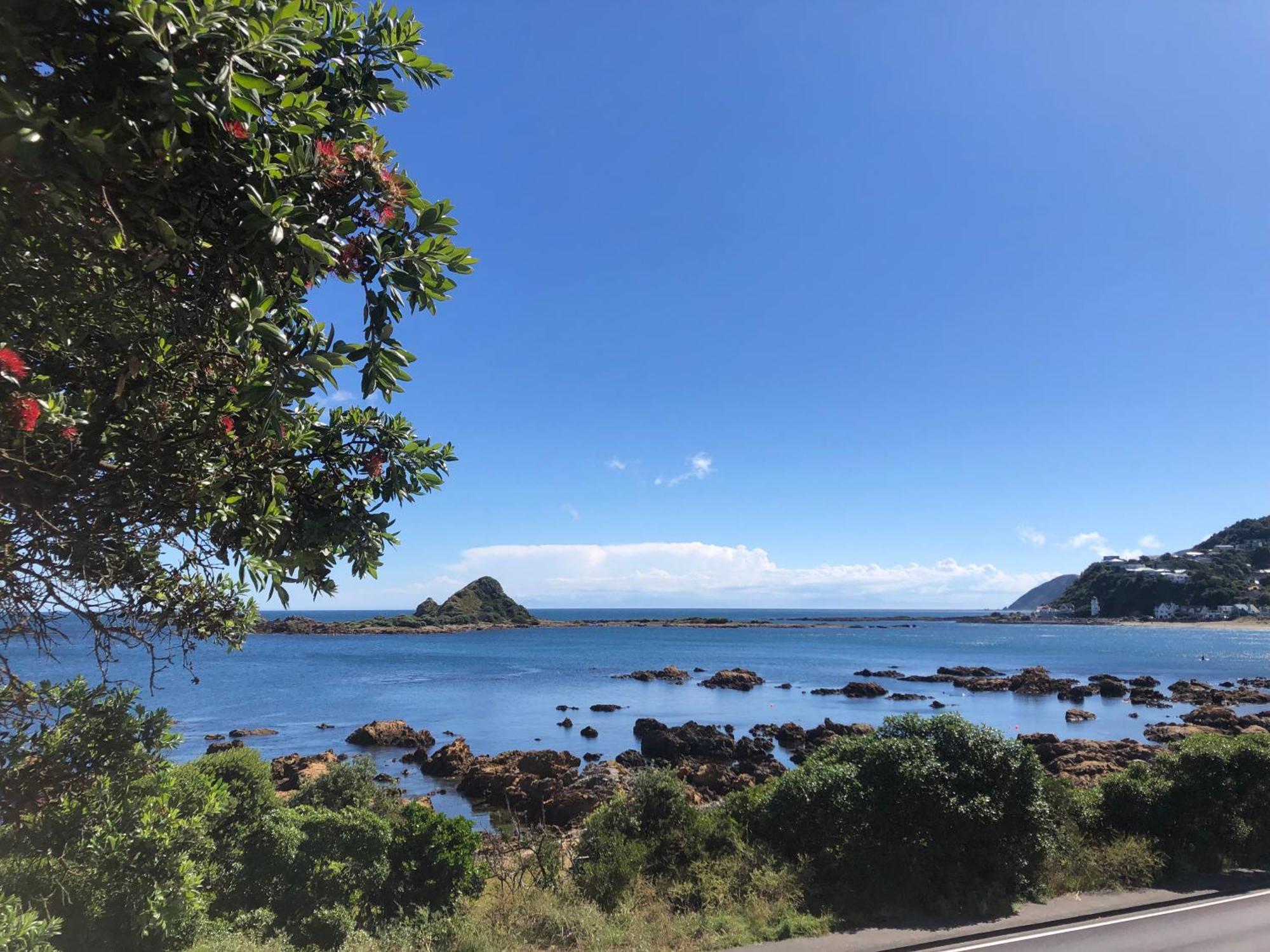 Seafront Haven In Island Bay With Deck, Outdoor Bath, And Parking Apartman Wellington Kültér fotó